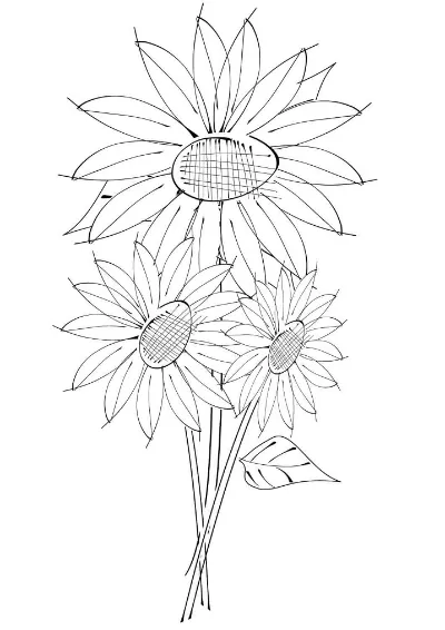 hoa hướng dương