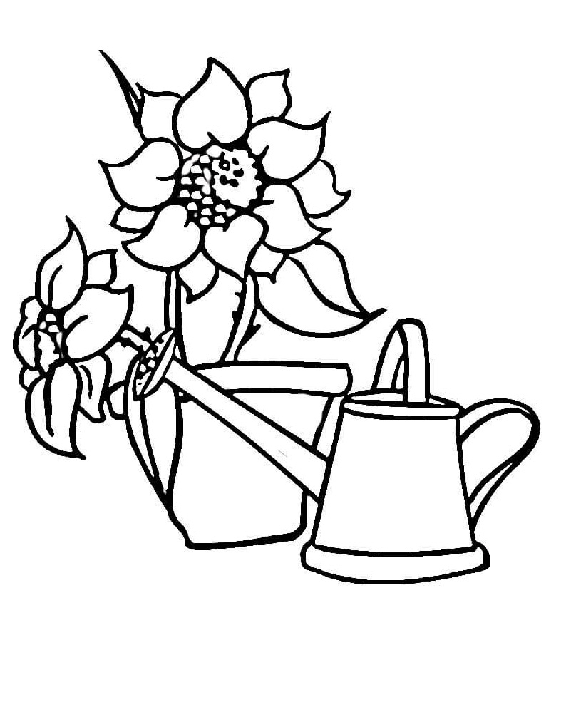 hướng dương và bình tưới