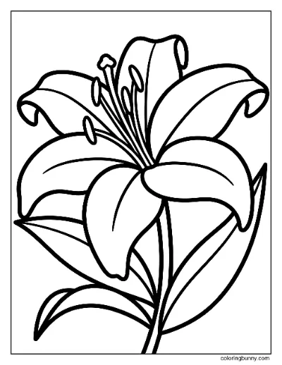 Trang Tô Màu Hoa Loa Kèn Ngắm Sao Đơn Giản