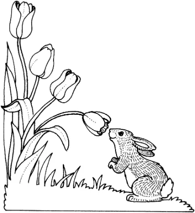 thỏ ngửi hoa tulip