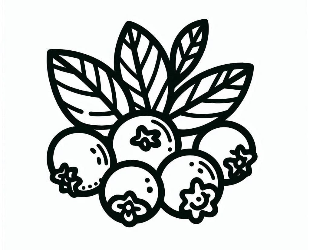 5 Quả Việt Quất