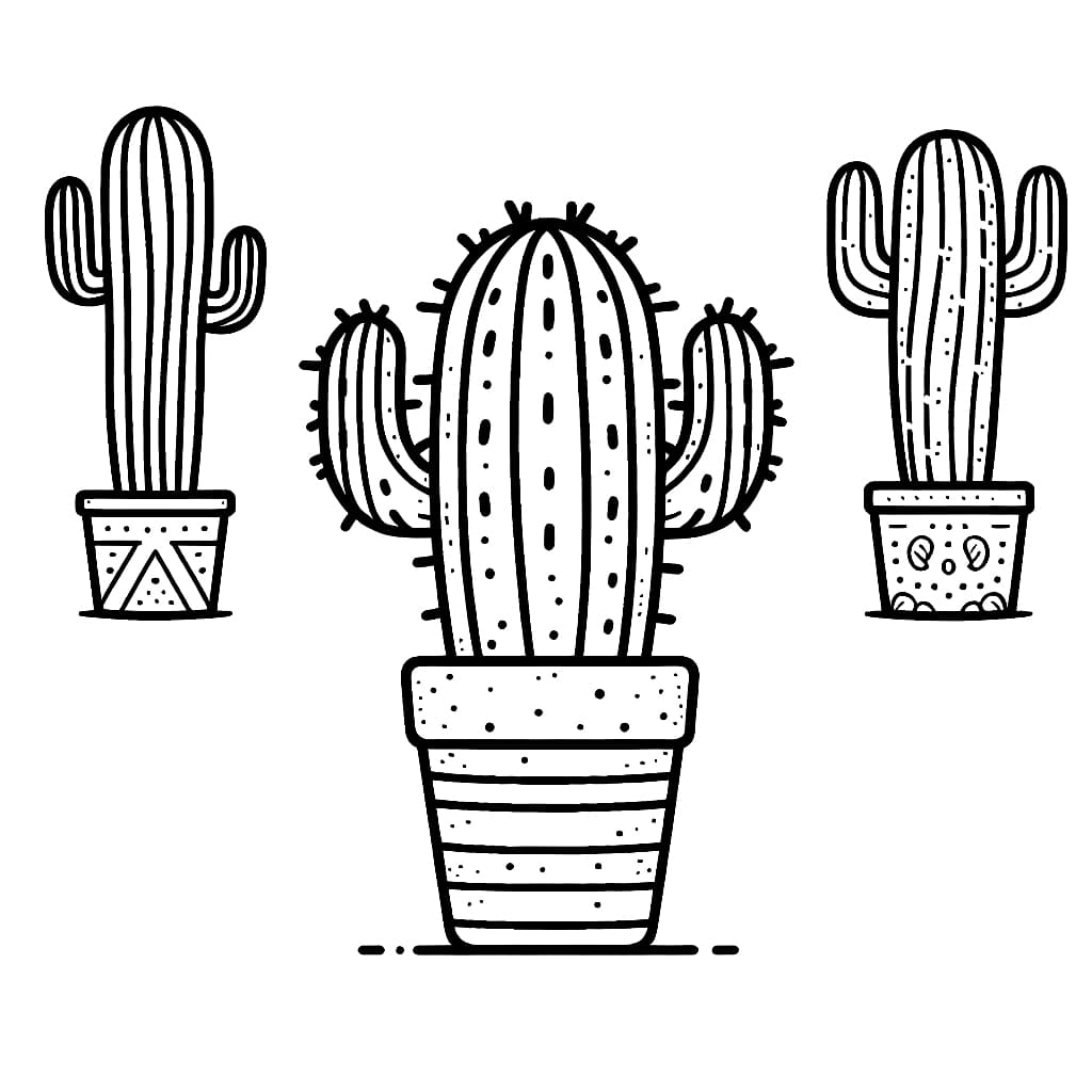 Ba Cây Xương Rồng