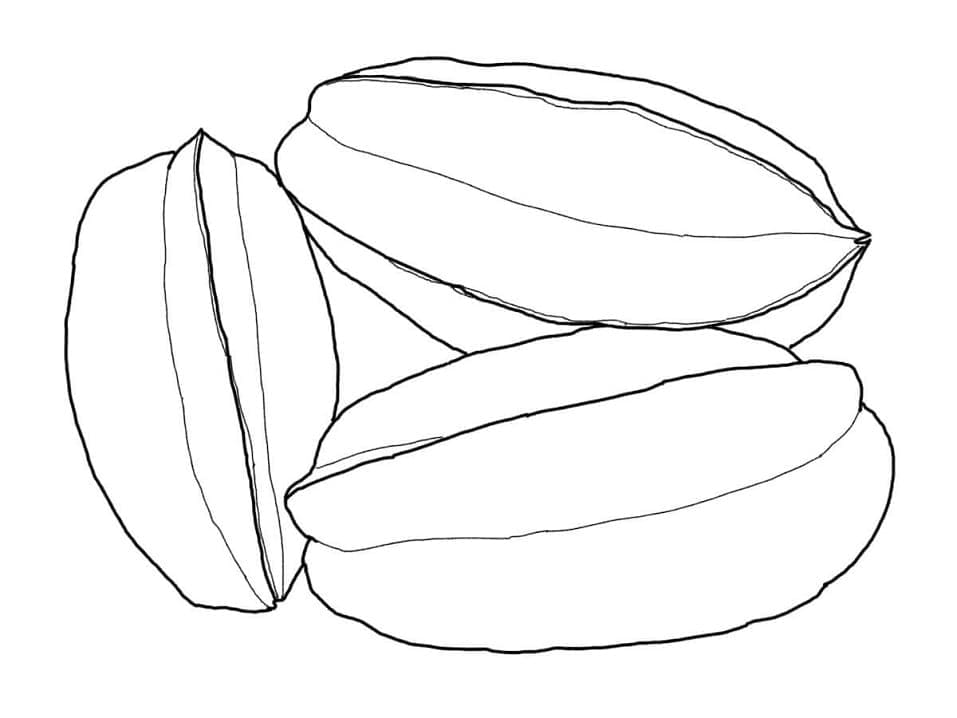 Tô Màu Quả Khế