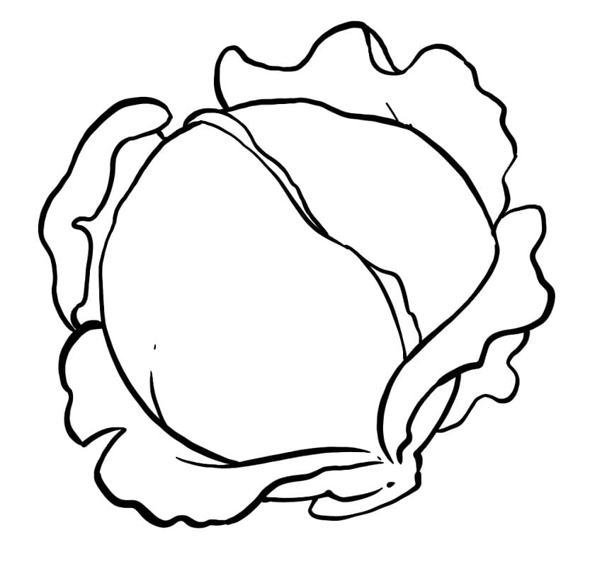 Bắp Cải Đơn Giản