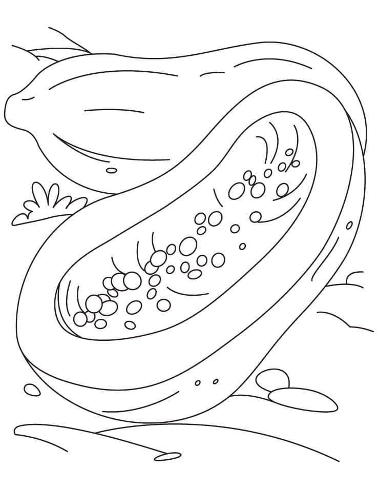 Bé Tập Tô Quả Đu Đủ