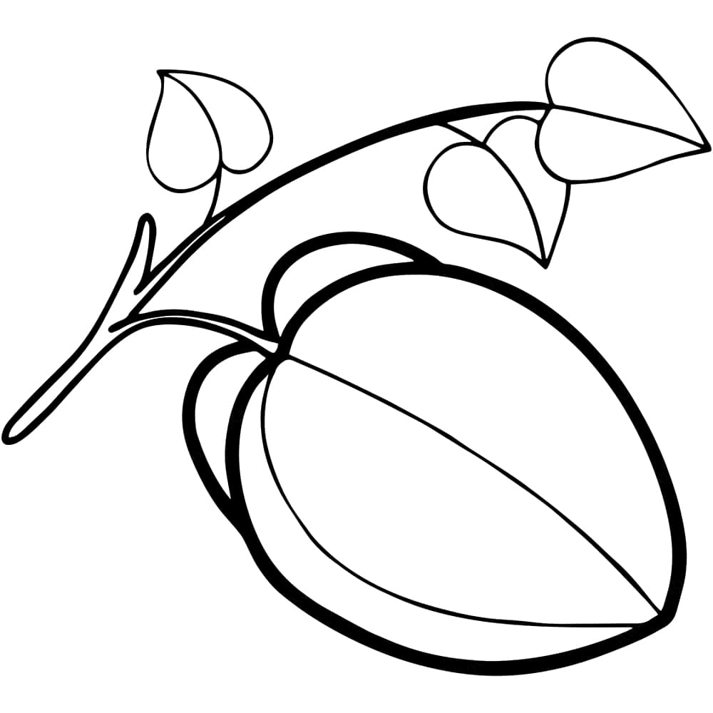 Bé Tập Vẽ Quả Khế