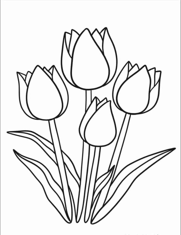 Bốn Bông Hoa Tulip