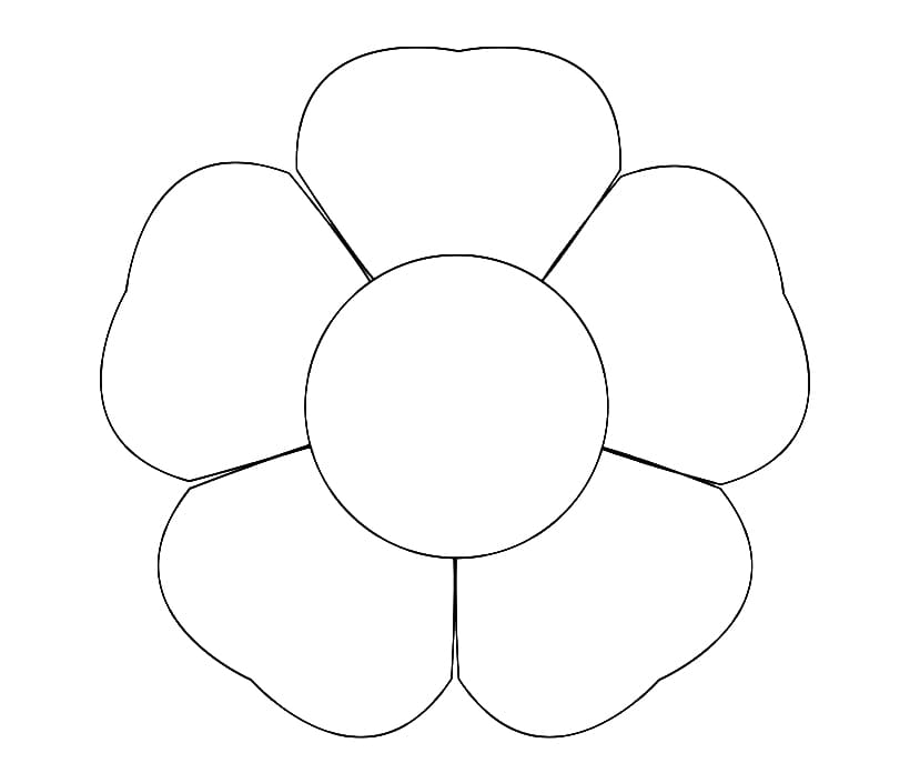 Bông Hoa 5 Cánh Cực Đẹp