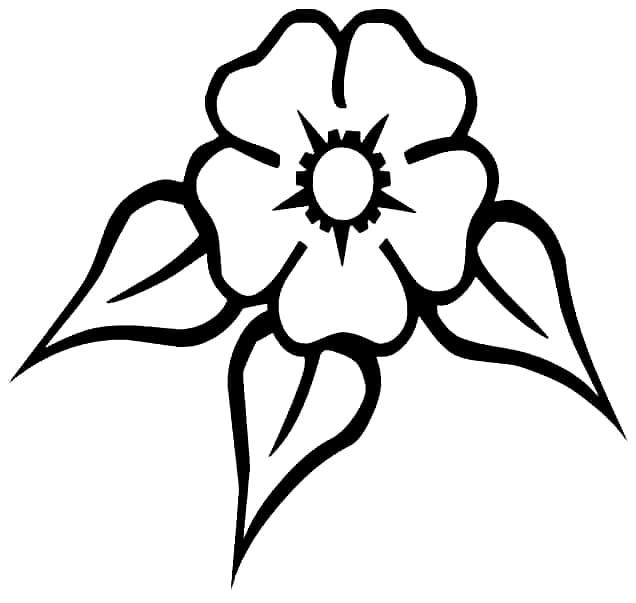 Bông Hoa 5 Cánh Đáng Yêu