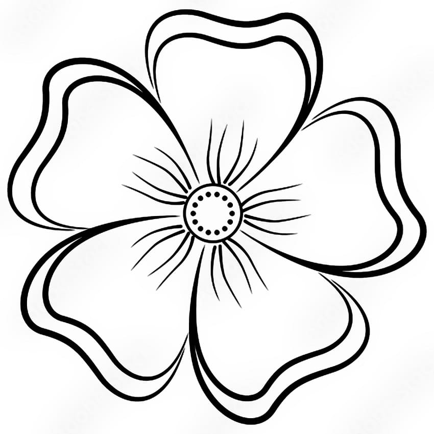 Bông Hoa 5 Cánh Đẹp và Xinh