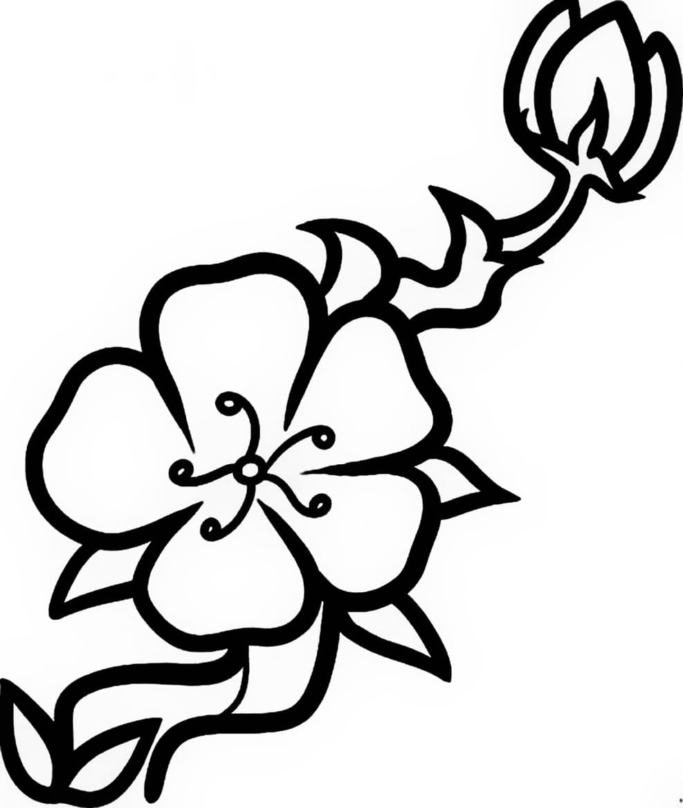 Bông Hoa 5 Cánh Rất Dễ Thương