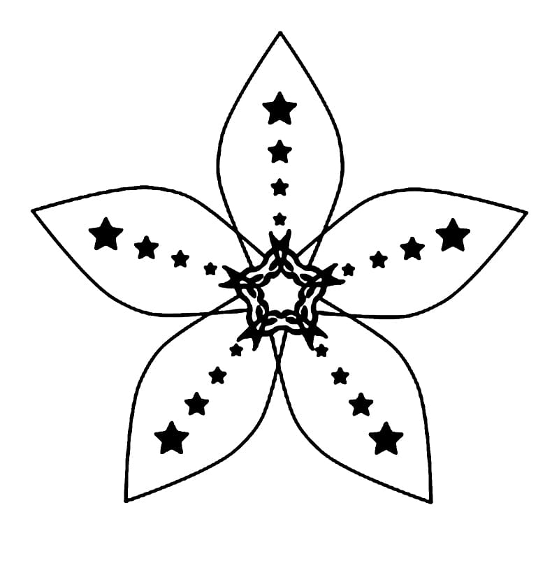 Bông Hoa 5 Cánh Siêu Xinh