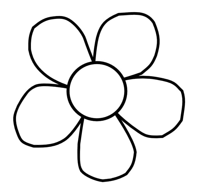 Bông Hoa 5 Cánh Xinh