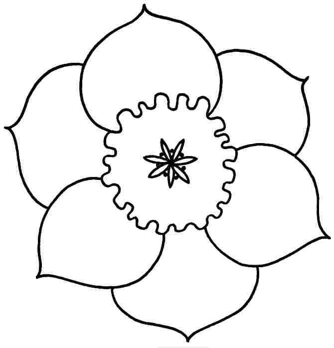 Bông Hoa 6 Cánh Đẹp