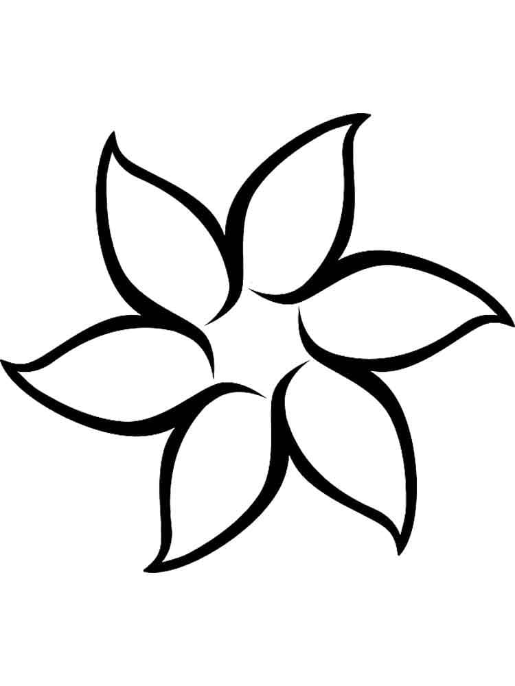 Bông Hoa 6 Cánh Nghệ Thuật