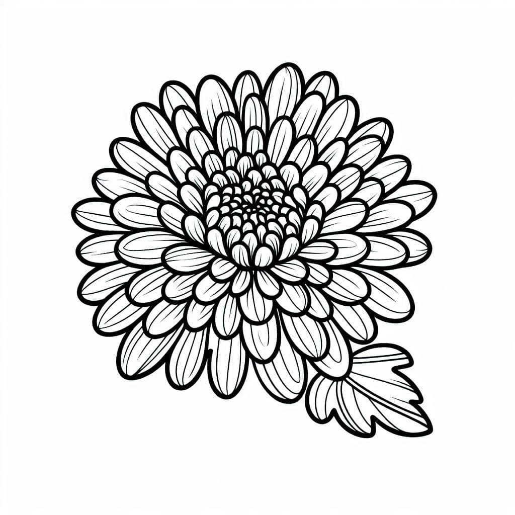 Bông Hoa Cúc Đơn Giản