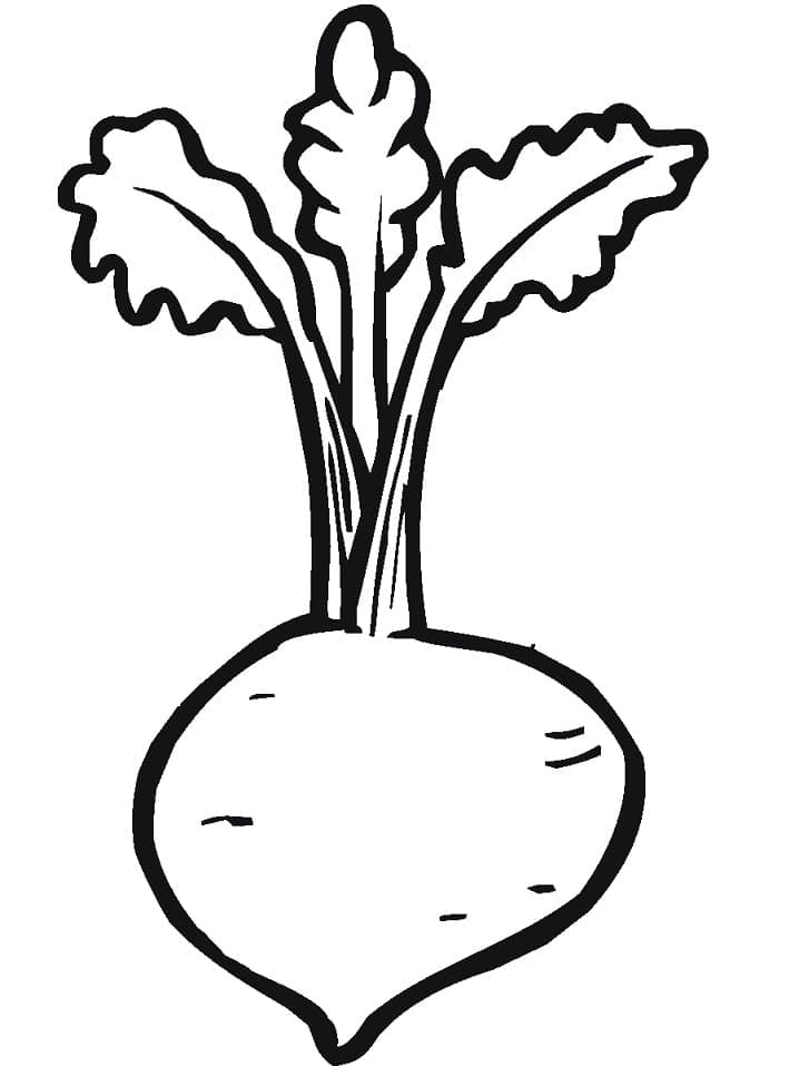 Bức Ảnh Củ Dền