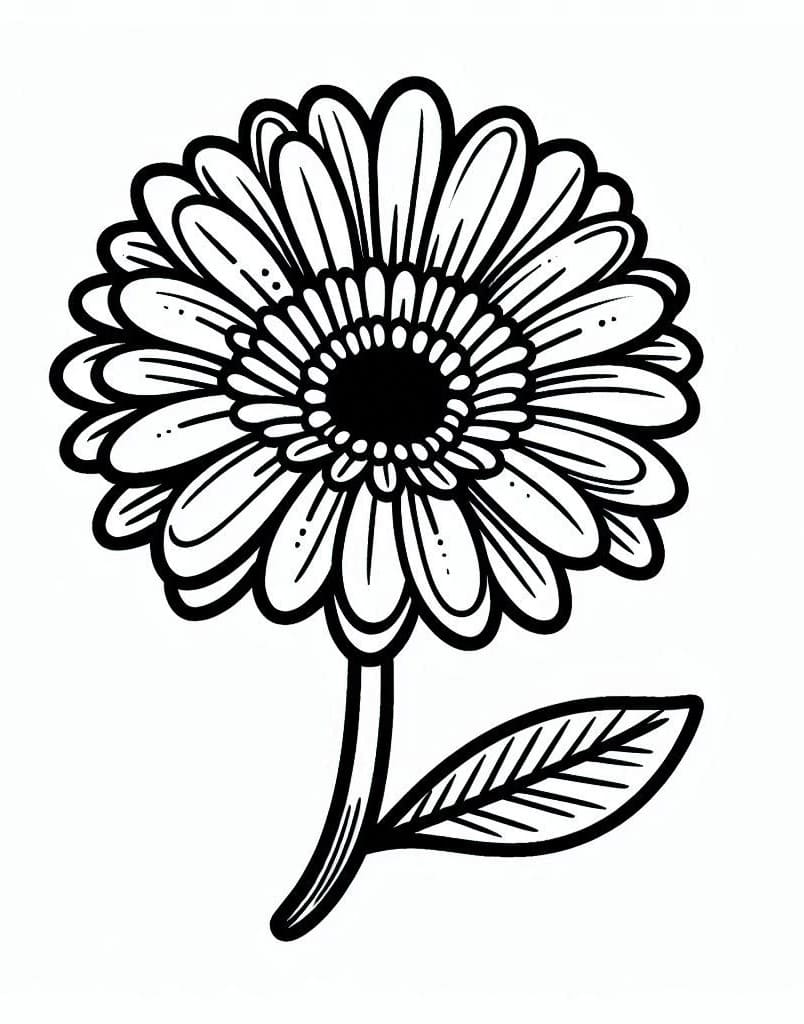 Cành Hoa Đồng Tiền