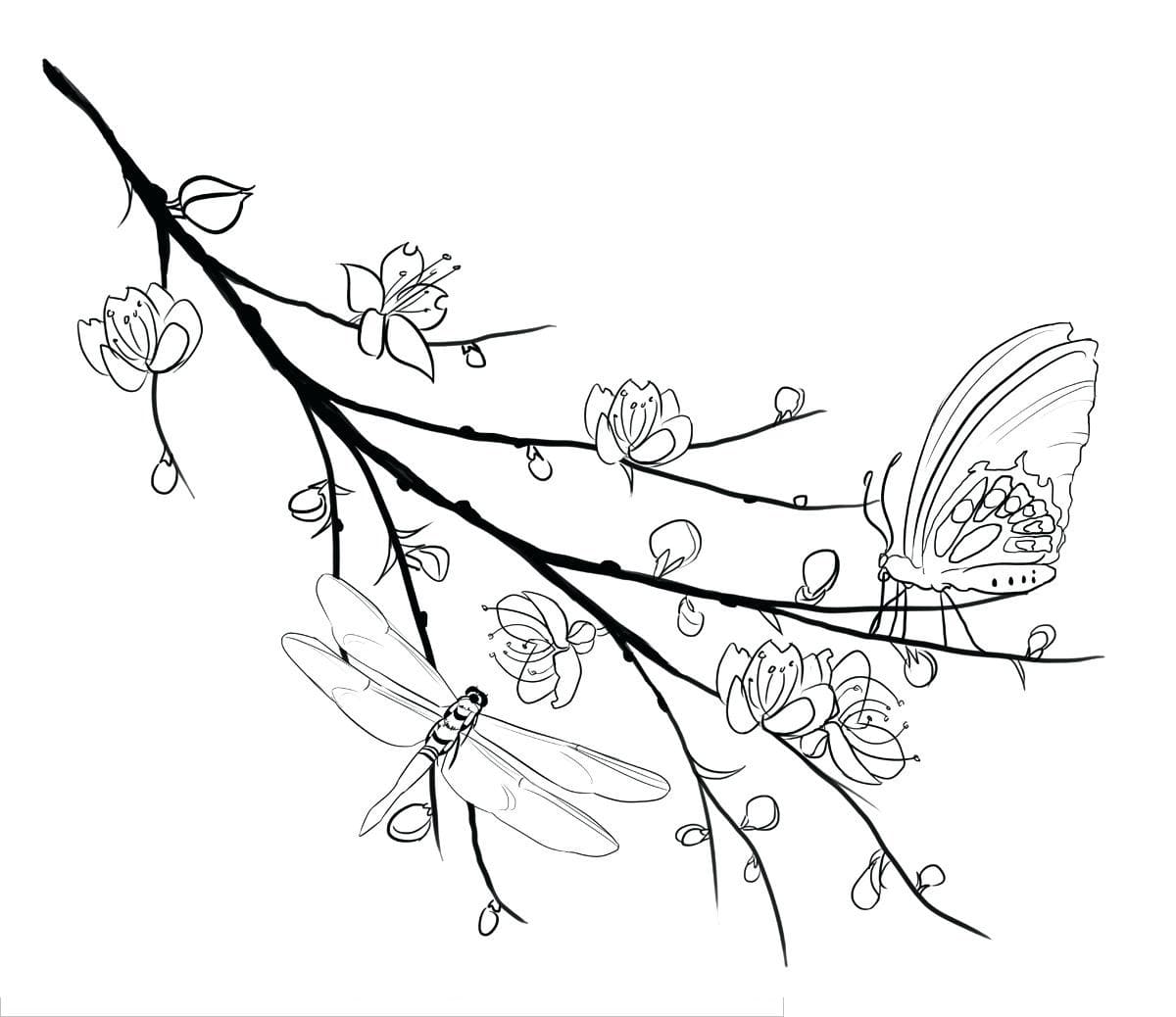 Cành Hoa Mai Đẹp Nhất