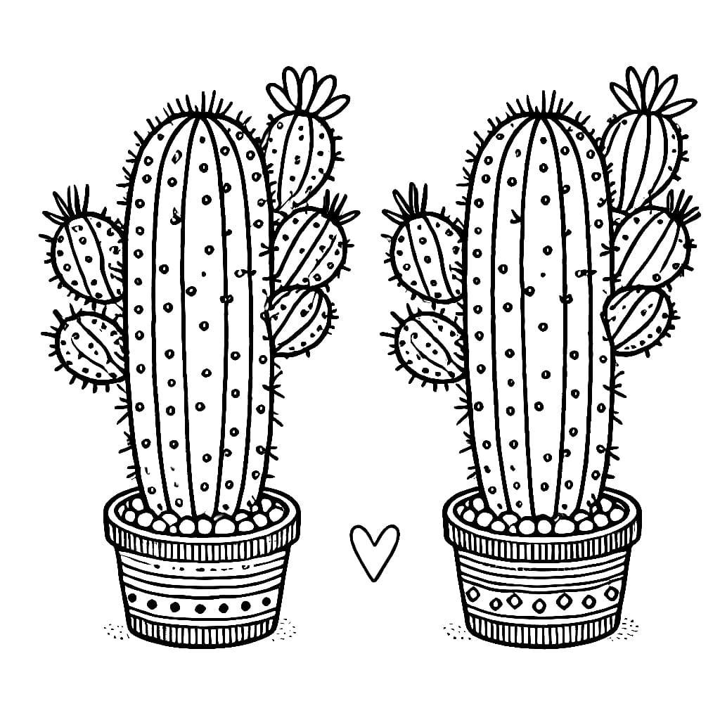 Cặp Chậu Xương Rồng