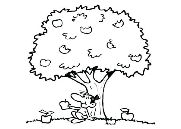 Cậu Bé Dưới Gốc Cây Táo