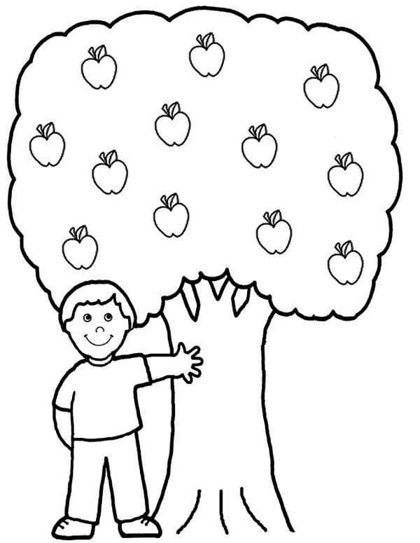 Cậu Bé và Cây Táo