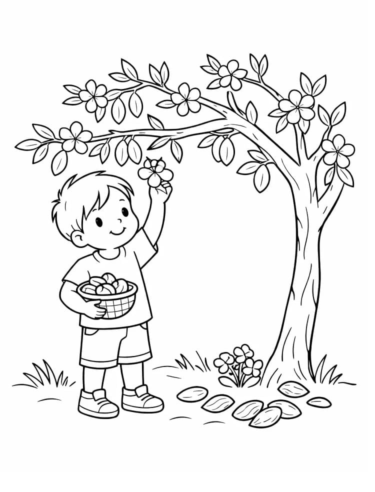 Cậu Bé Với Cây Bàng