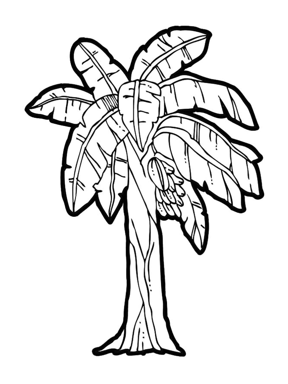Tô Màu Cây Chuối