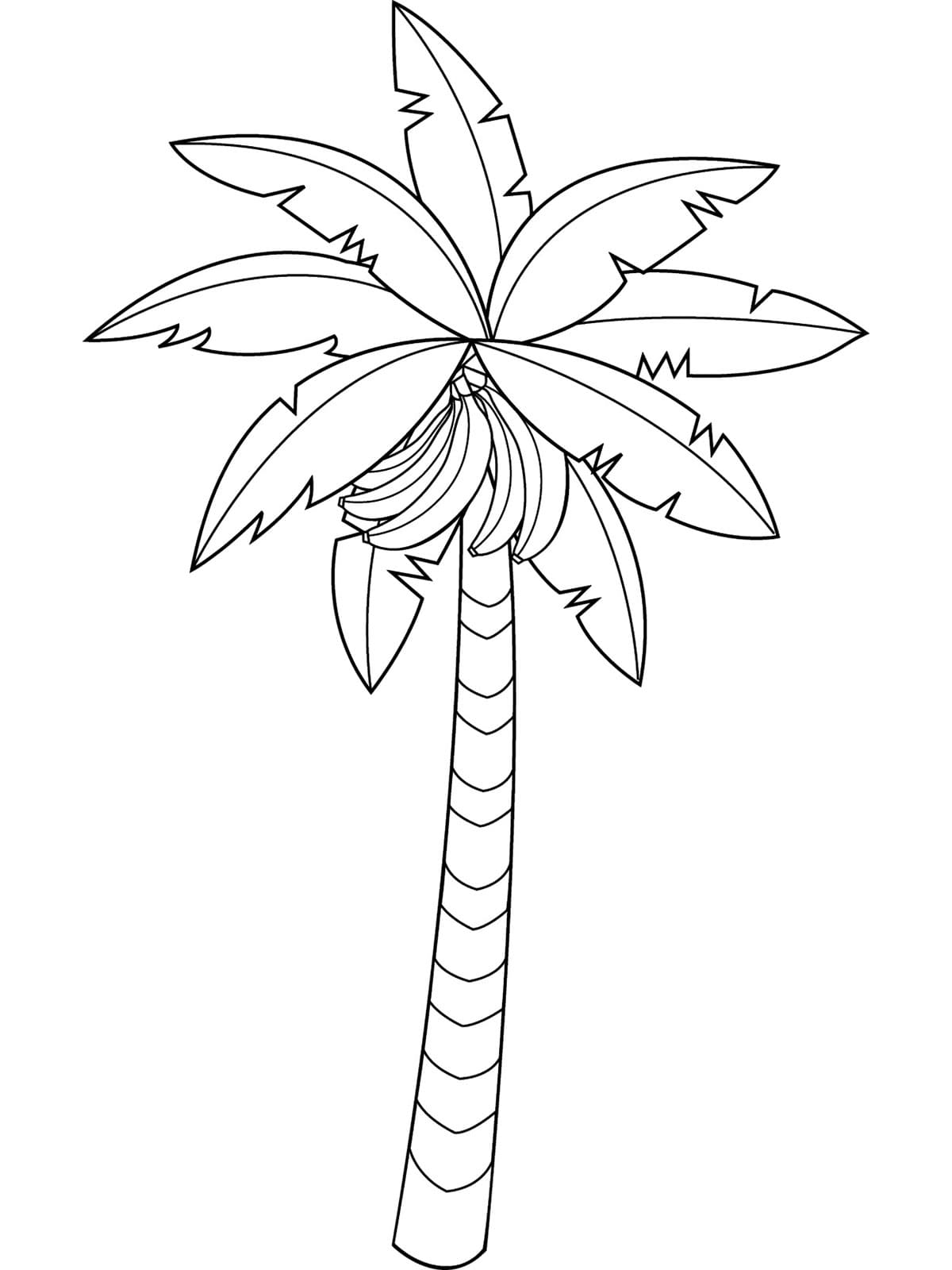 Cây Chuối Cực Dễ