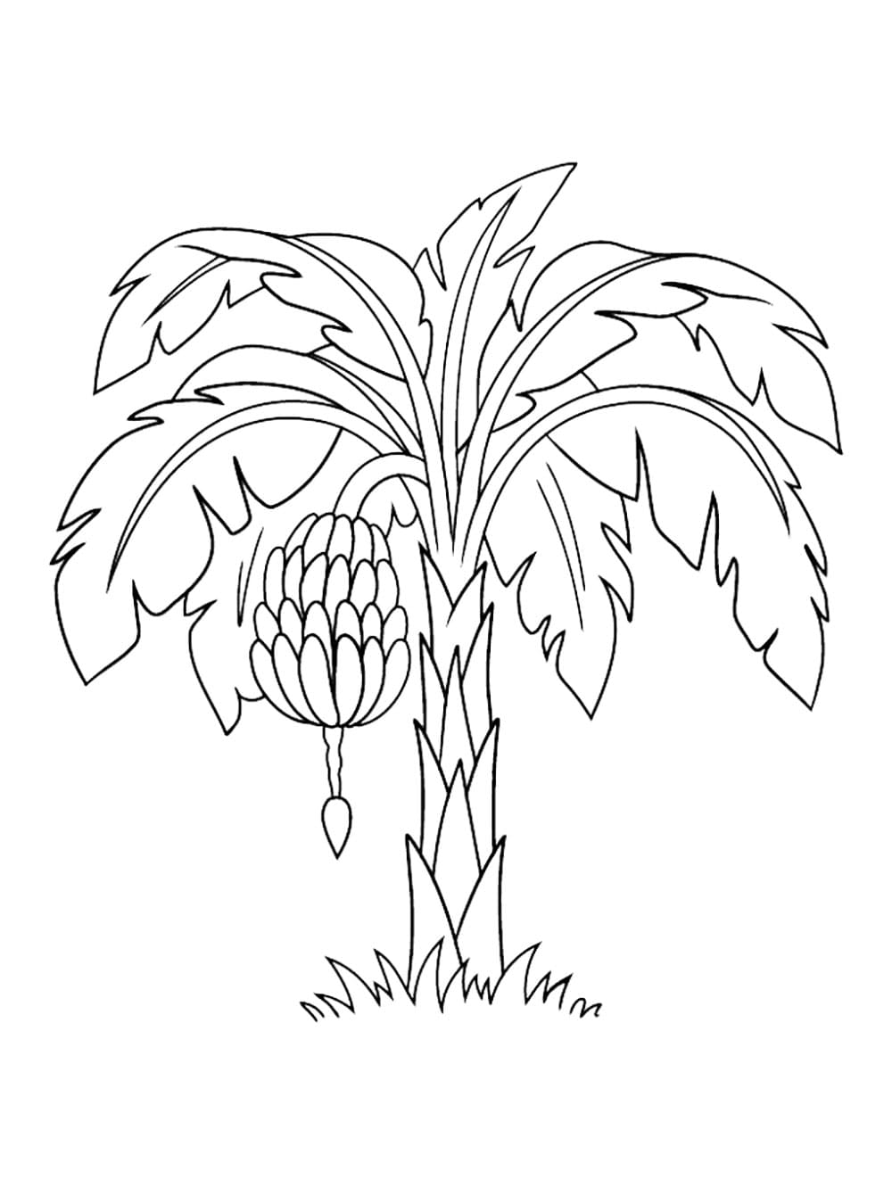 Cây Chuối Trong Vườn