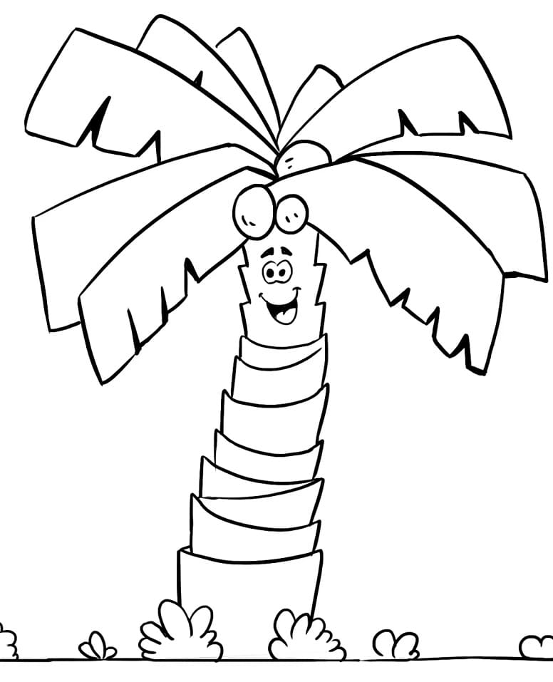 Cây Dừa Ngộ Nghĩnh