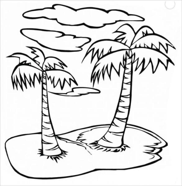 Cây Dừa và Đám Mây