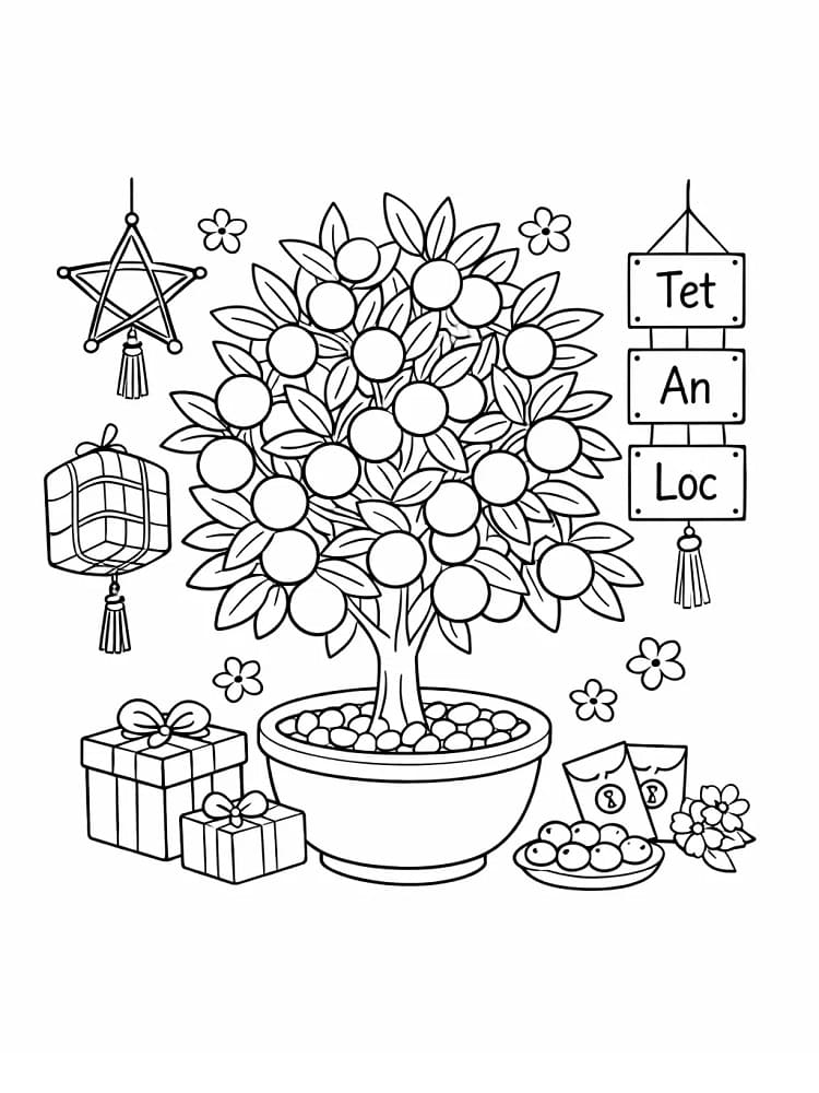 Cây Quất Đẹp Nhất