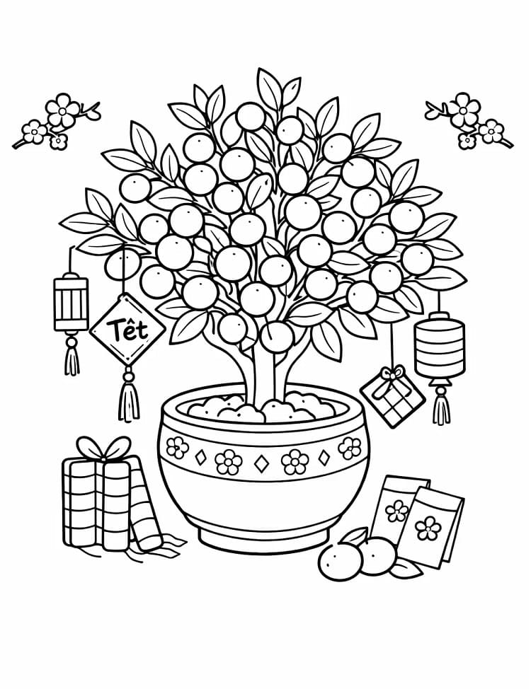 Cây Quất Rất Đẹp