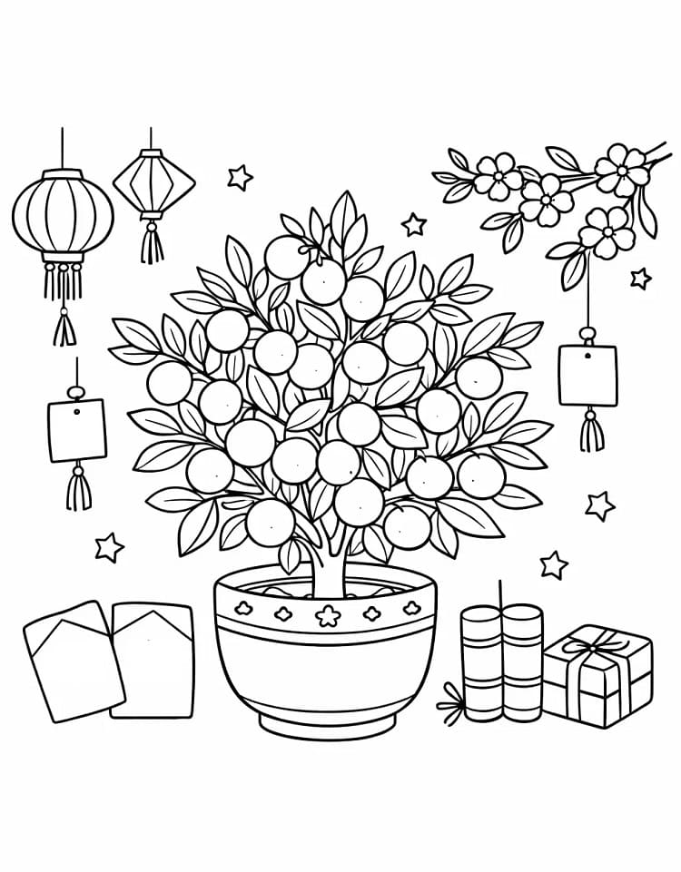 Cây Quất Trang Trí Ngày Tết