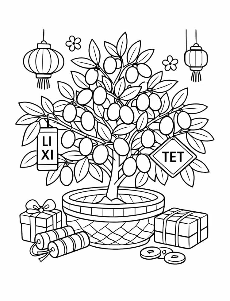 Cây Quất Trong Ngày Tết