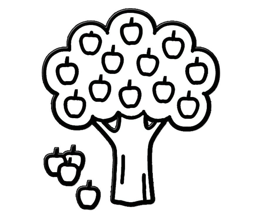 Cây Táo Đẹp và Đơn Giản