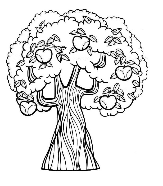 Cây Táo Nhiều Quả