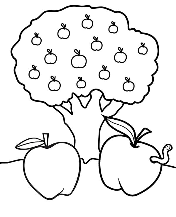 Cây Táo và Hai Quả Táo