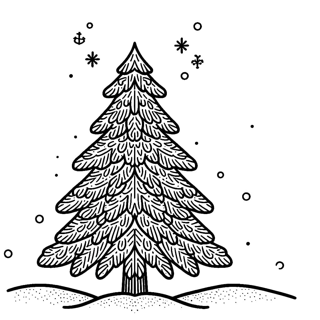 Cây Thông Nhiều Lá