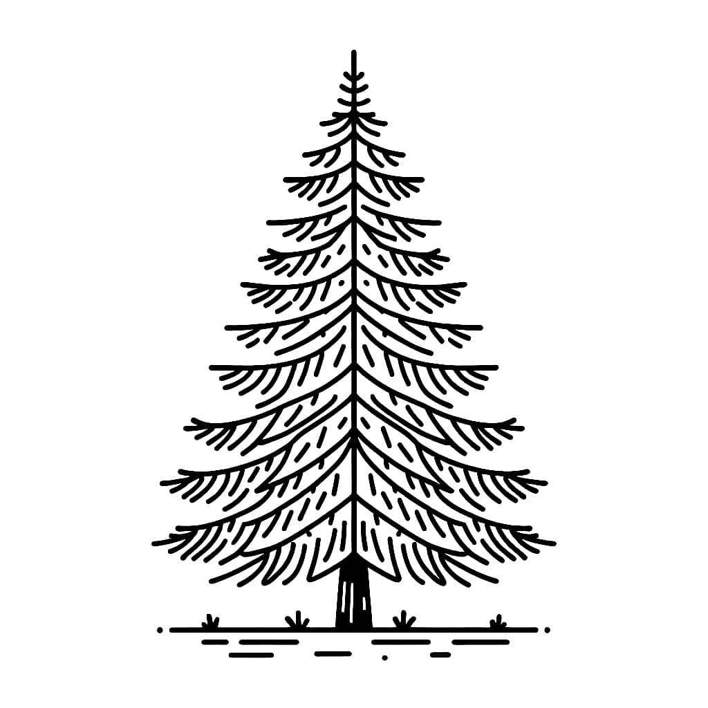 Cây Thông Rất Dễ Dàng