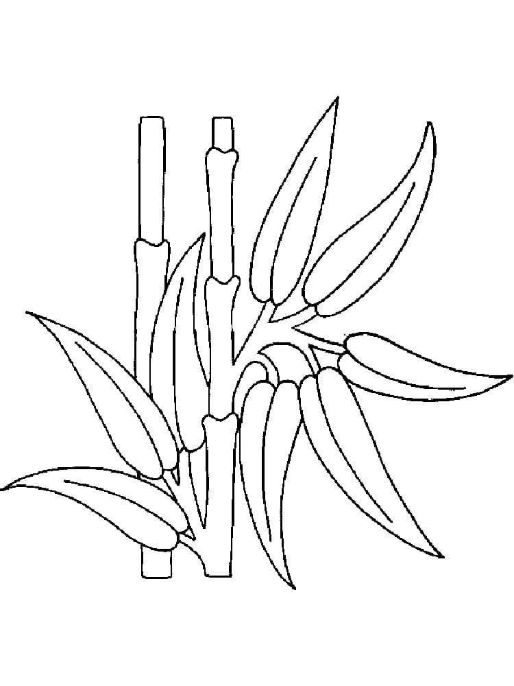 Cây Tre Đơn Giản