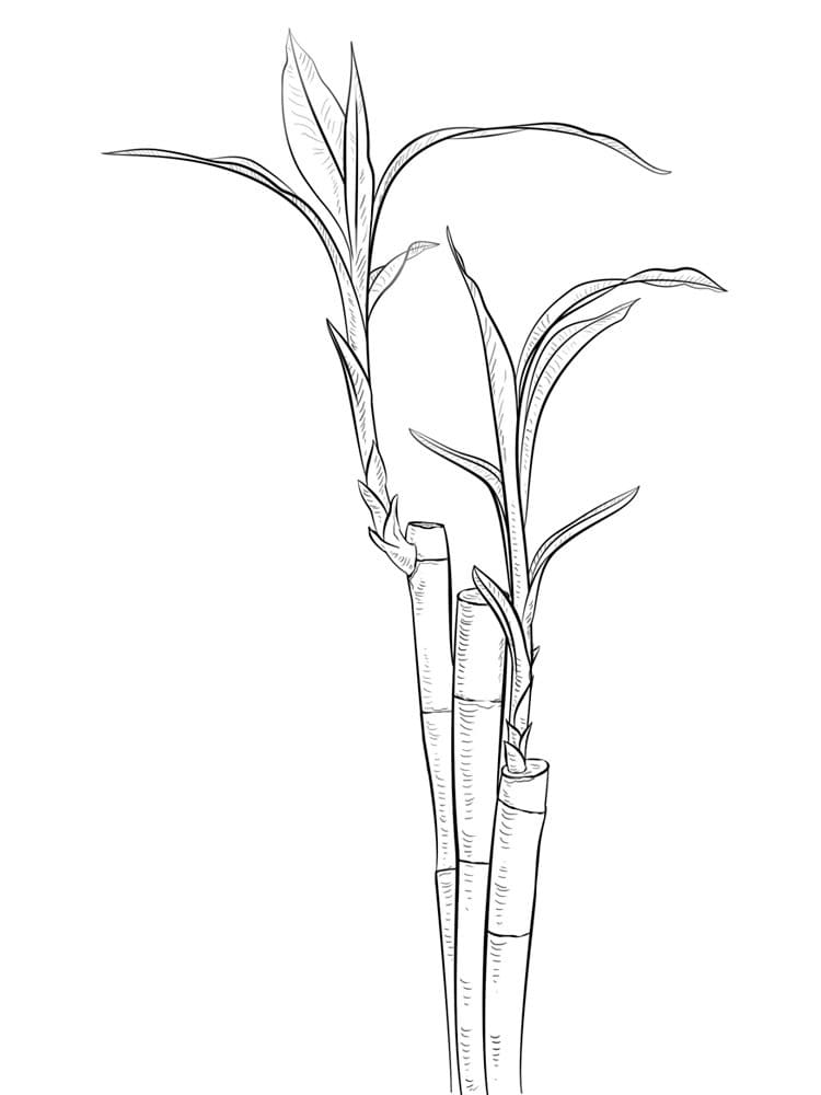 Cây Tre Kiên Cường