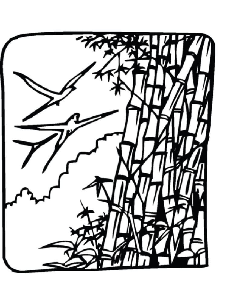 Cây Tre và Đàn Chim