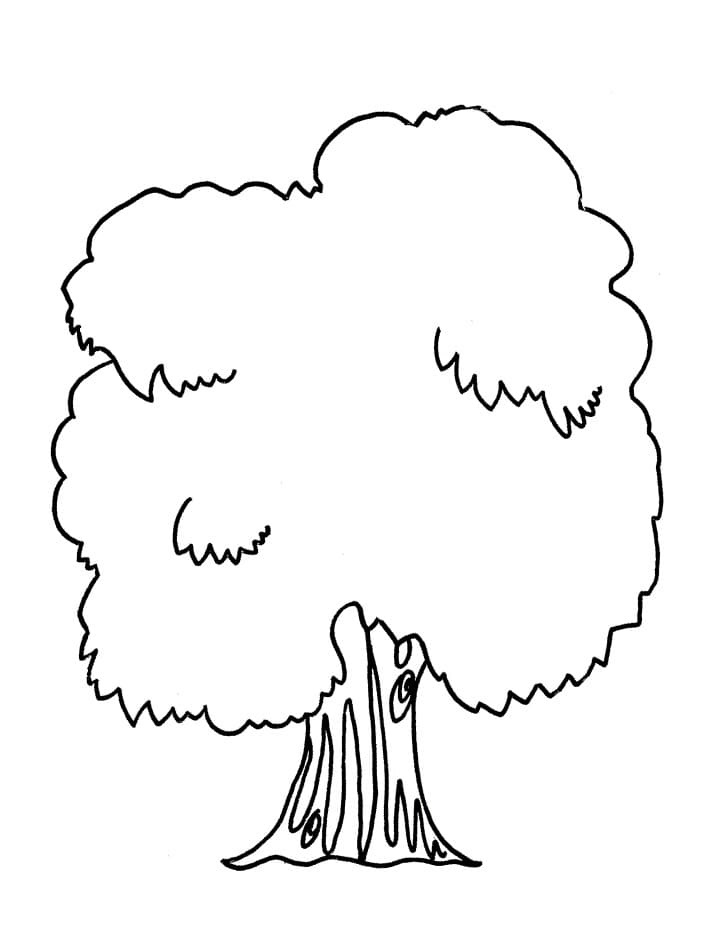 Cây Xanh Đơn Giản