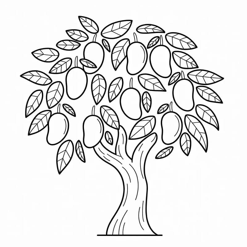 Cây Xoài Nhiều Quả