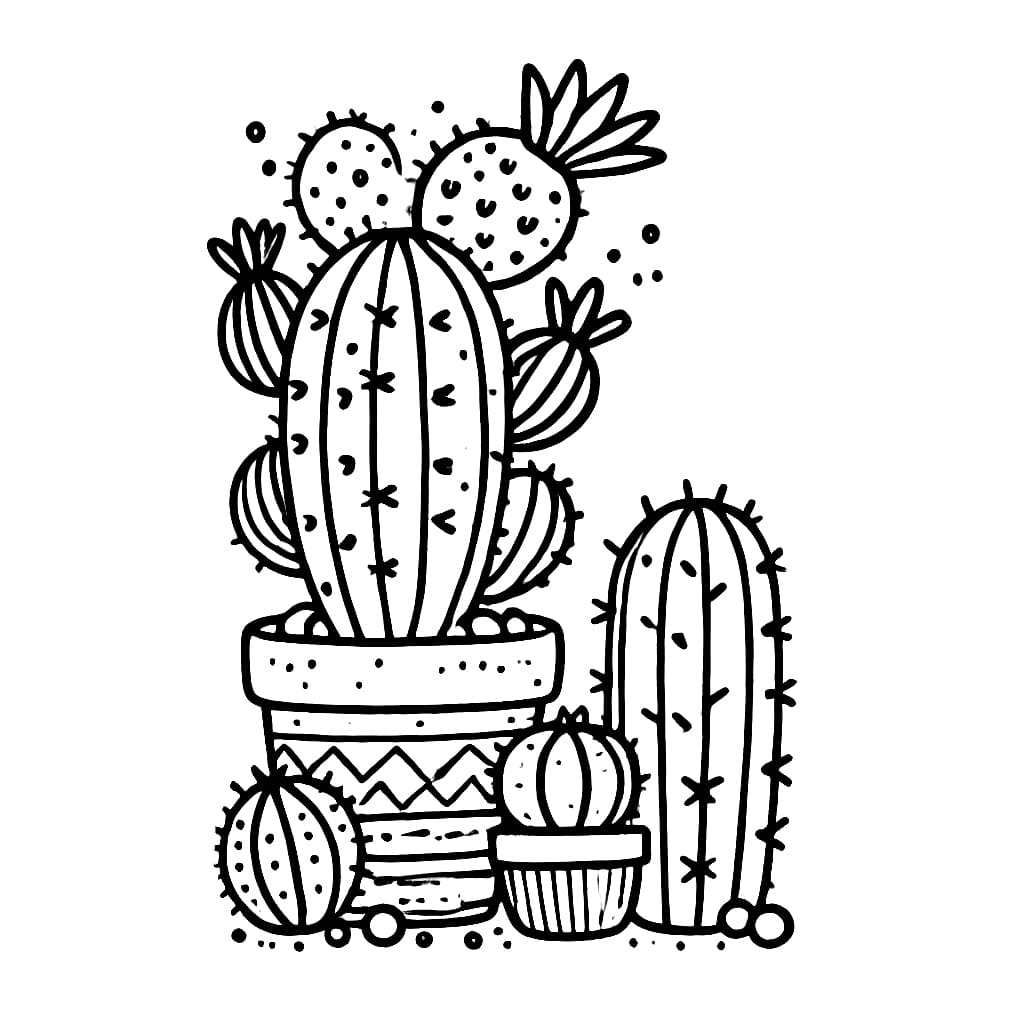 Chậu Cây Xương Rồng Đẹp