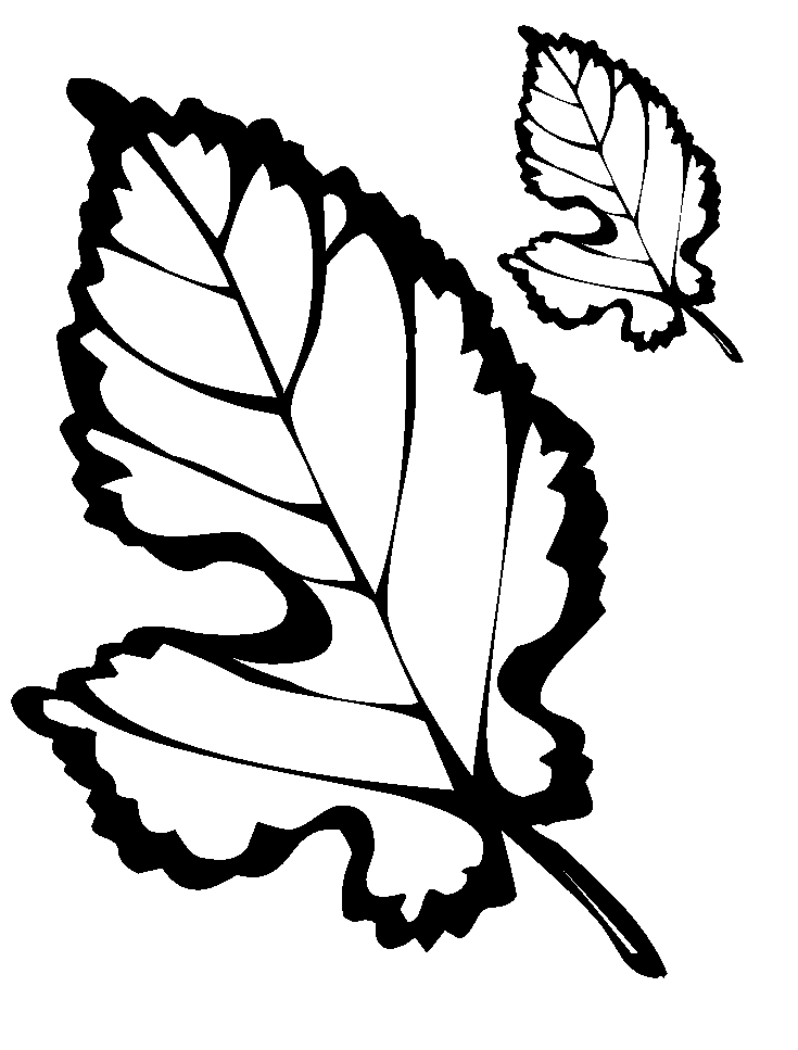 Chiếc Lá Bị Sâu