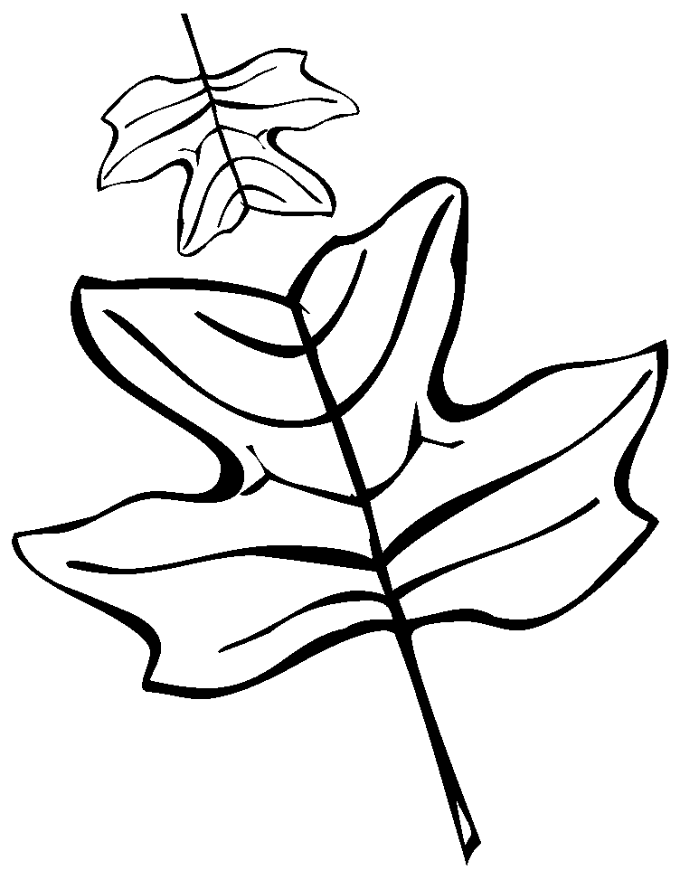 Chiếc Lá Bình Thường