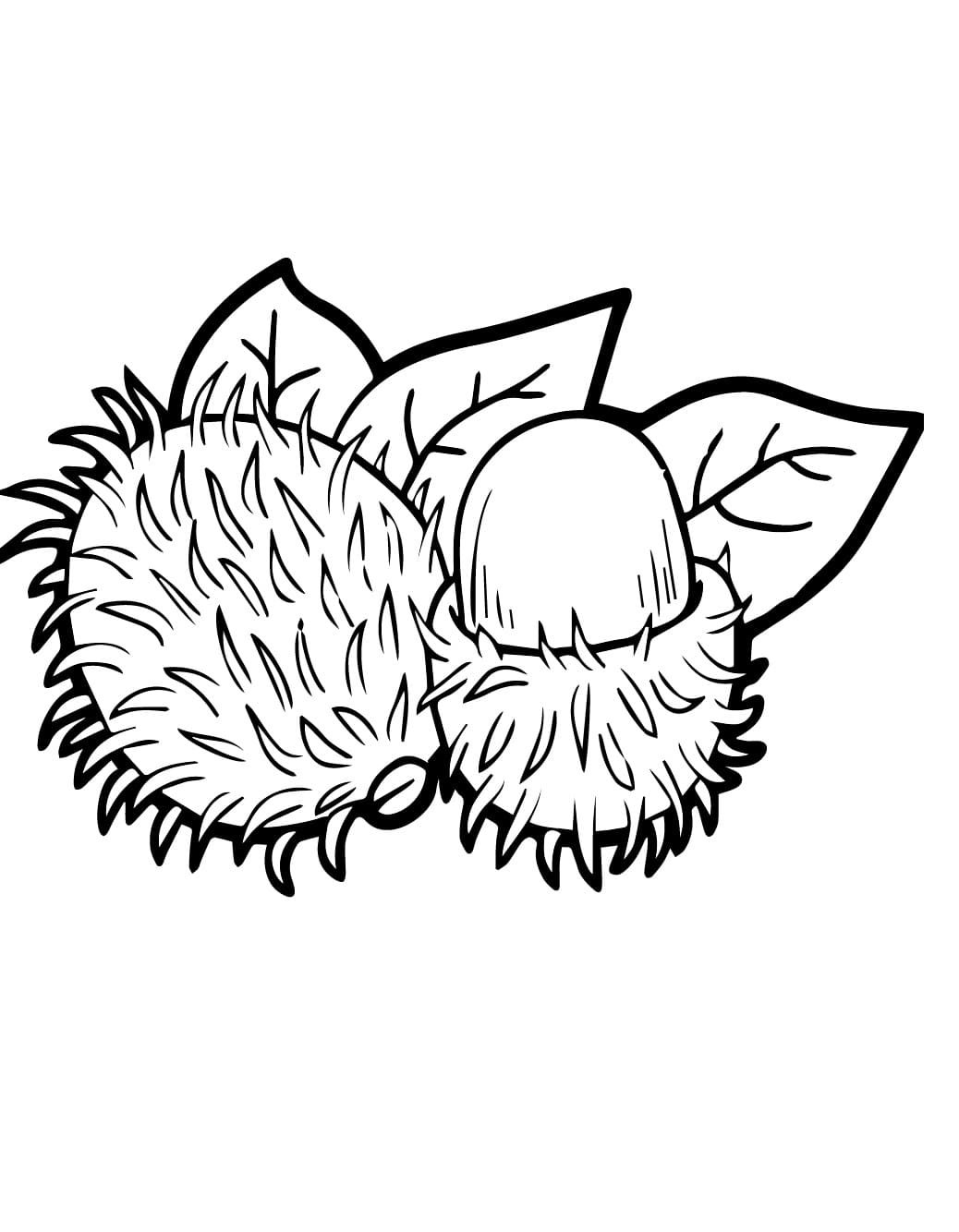 Chôm Chôm Đơn Giản